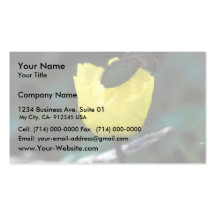 Poppy Business Cards