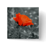 Poppy Button