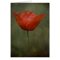Poppy card