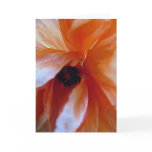 Poppy cards