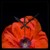 "Poppy-clock"! wall clocks