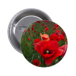 Poppy Field Button Badge