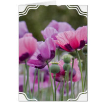 Poppy Field Greeting Card