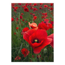 Poppy Field Invitation