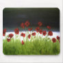 Poppy Field