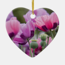 Poppy Field Ornament