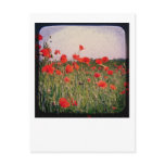 Poppy Field postcards