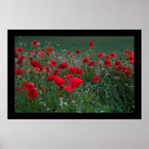 Poppy Field. Poster by cARTerART
