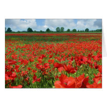 Poppy Fields Greeting Card