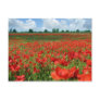 Poppy Fields Postcard