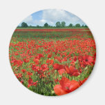 Poppy Fields Refrigerator Magnet