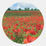 Poppy Fields Round Stickers