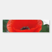 Poppy flower and meaning bumper stickers