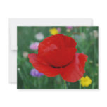 Poppy flower and meaning invitations
