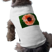 Poppy Flower Dog Shirt