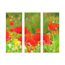 Poppy Flower Green meadow Fine Art Prints Canvas Print