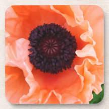 Poppy Flower Set of Coasters