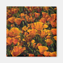 Poppy flowers Pink flowers Refrigerator Magnets