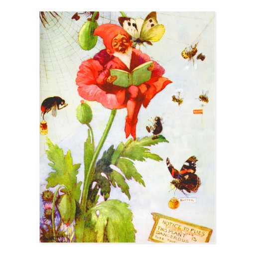 Poppy Gnome Post Cards