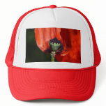 Poppy Trucker Hats