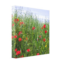 Poppy Meadow Canvas Canvas Prints