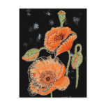 'Poppy Midnight' Postcard