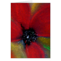 Poppy. Pastel Painting of a Red Flower. Cards