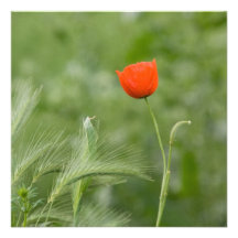 Poppy Personalized Invitation