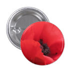 POPPY buttons
