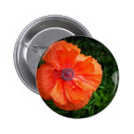 Poppy Pin