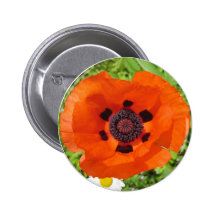 Poppy Pinback Buttons