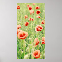 poppy posters