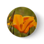 Poppy Wildflower Button