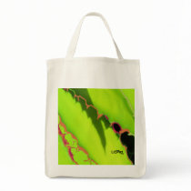 POPULAR BAG