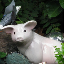 Porcelain Pig Photo Sculpture