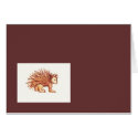 porcupine cards