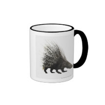 Porcupine Coffee Mugs