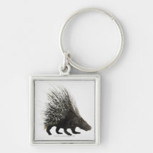 Porcupine Key Chain