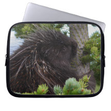 porcupine laptop sleeve