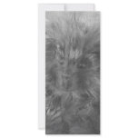 Porcupine Paradise rack cards