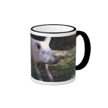Pork scratching mug