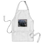 PORKER aprons