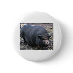 PORKER buttons