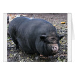 PORKER cards