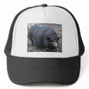 PORKER hats