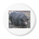 PORKER magnets