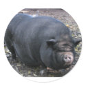 PORKER stickers