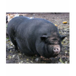 PORKER t-shirts
