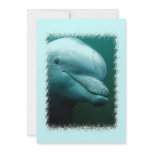 Porpoise Invitation