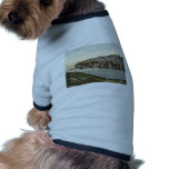 Port Isaac, looking N.E., Cornwall, England classi pet clothing